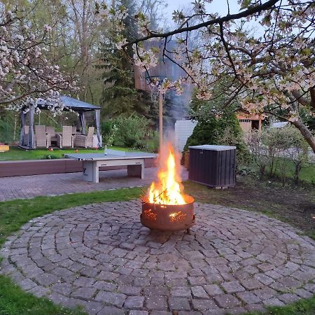Grosszuegige Ferienwohnung Am Waldesrand Im Seenland Lauta Bagian luar foto