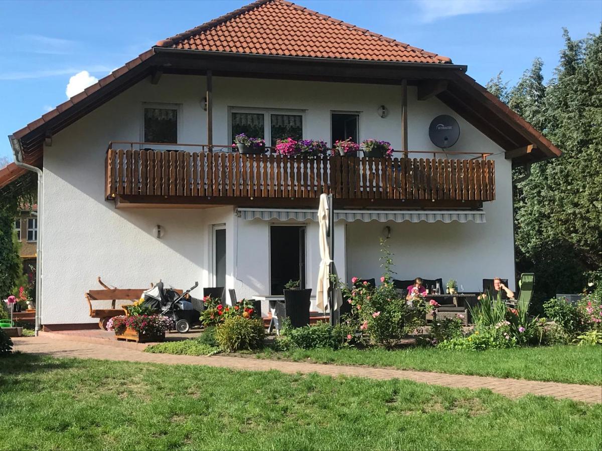 Grosszuegige Ferienwohnung Am Waldesrand Im Seenland Lauta Bagian luar foto