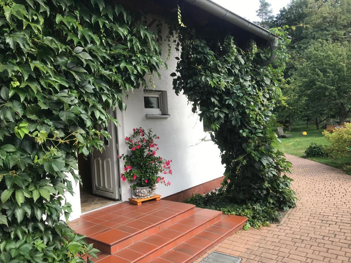Grosszuegige Ferienwohnung Am Waldesrand Im Seenland Lauta Bagian luar foto
