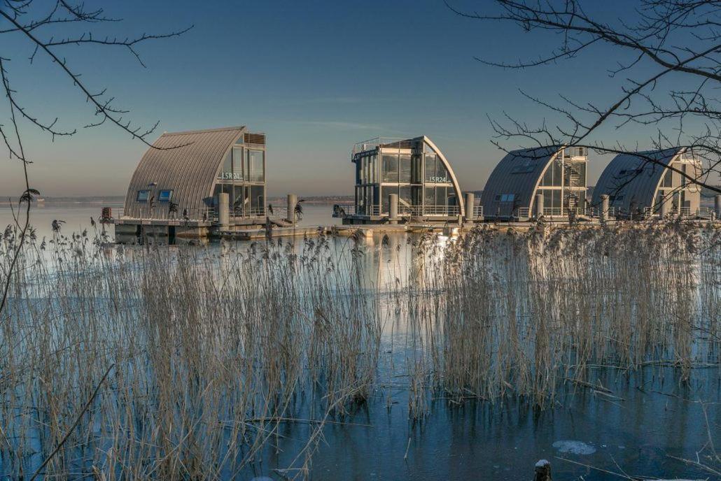 Grosszuegige Ferienwohnung Am Waldesrand Im Seenland Lauta Bagian luar foto