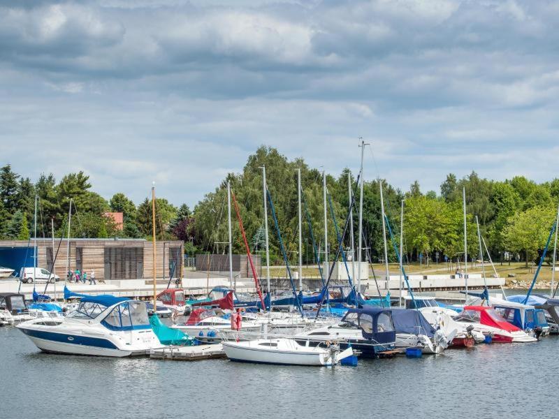 Grosszuegige Ferienwohnung Am Waldesrand Im Seenland Lauta Bagian luar foto