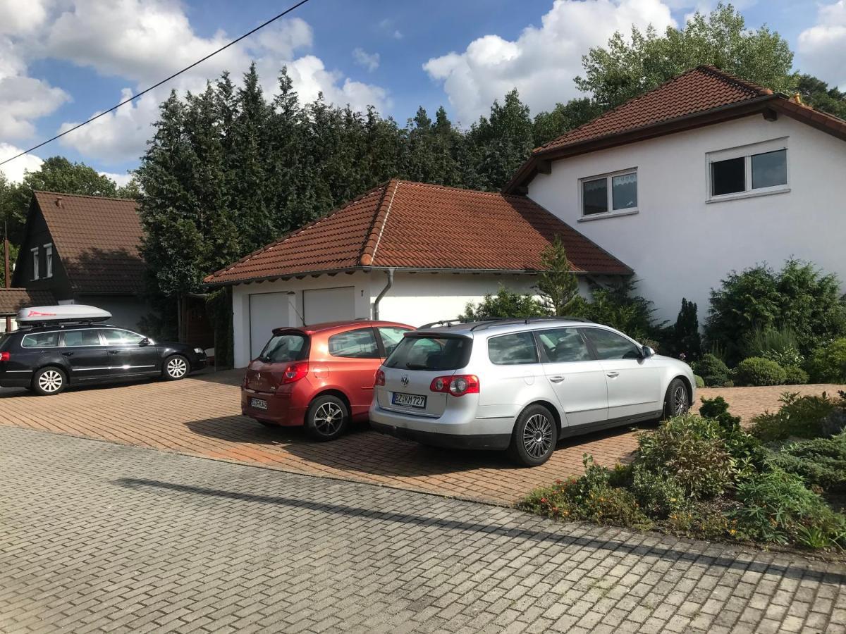 Grosszuegige Ferienwohnung Am Waldesrand Im Seenland Lauta Bagian luar foto
