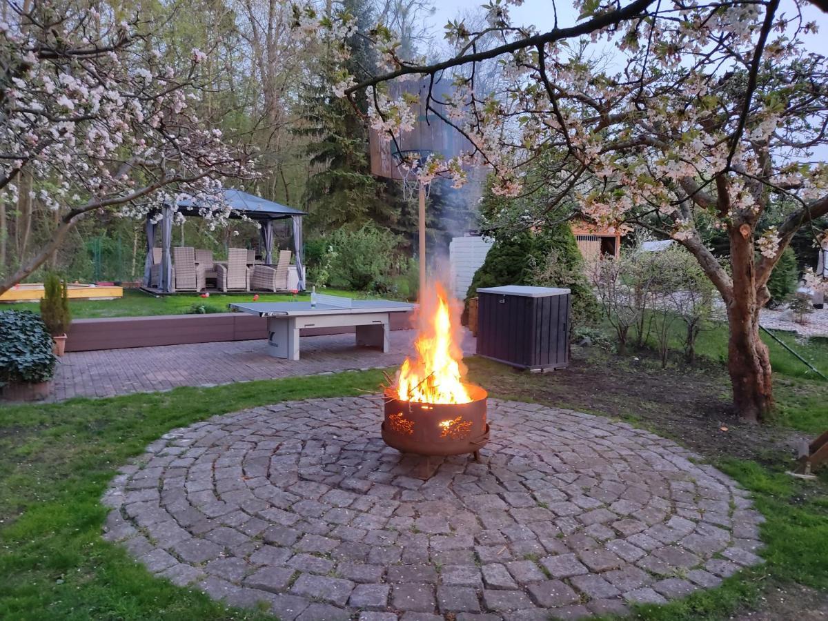 Grosszuegige Ferienwohnung Am Waldesrand Im Seenland Lauta Bagian luar foto