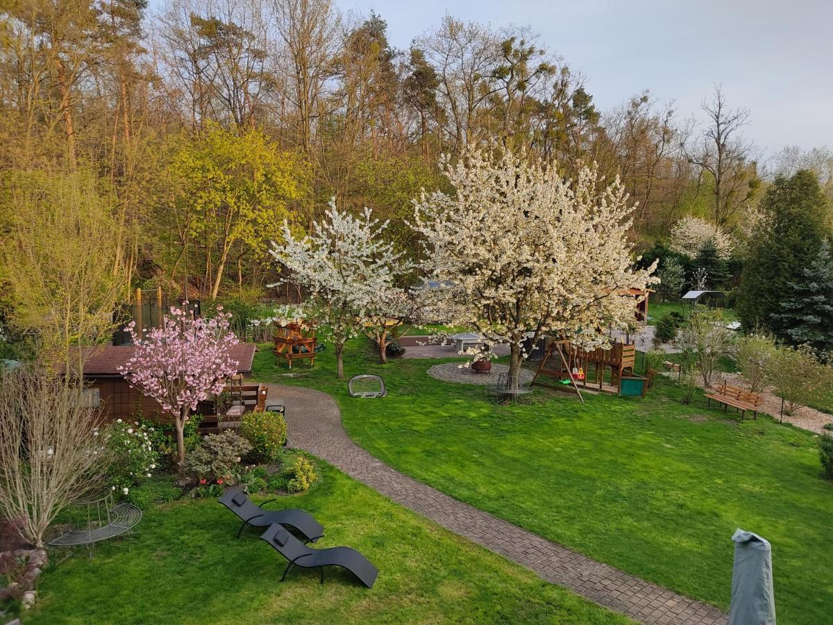 Grosszuegige Ferienwohnung Am Waldesrand Im Seenland Lauta Bagian luar foto